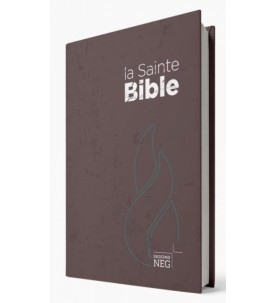 Bible NEG rigide bleue 11218